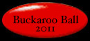 Buckaroo Ball 2011