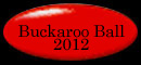 Buckaroo Ball 2012