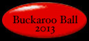 Buckaroo Ball 2013