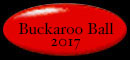 Buckaroo Ball 2017