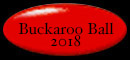 Buckaroo Ball 2018